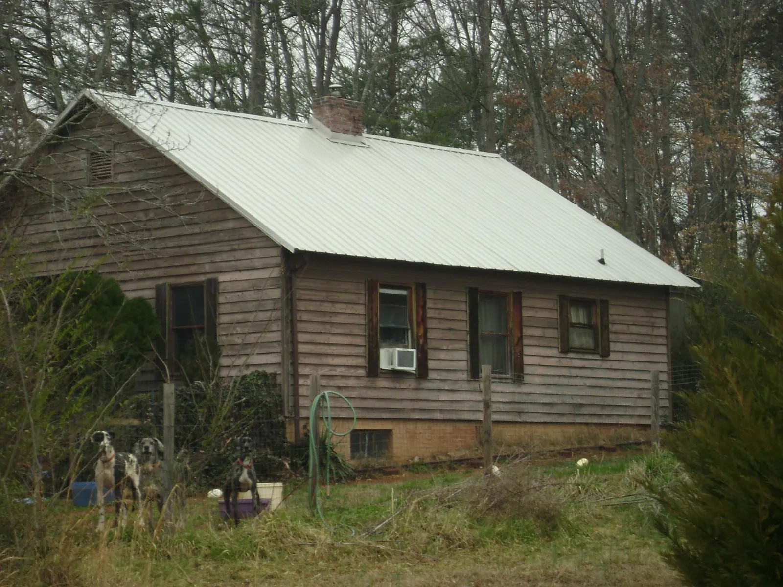 White metal roof on an old wood sided farmhouse, from a Metal Roof Installation job in Altair